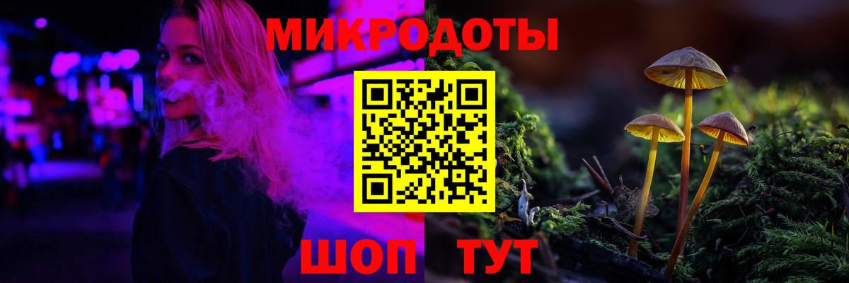 Галлюциногенные грибы Cubensis Выборг